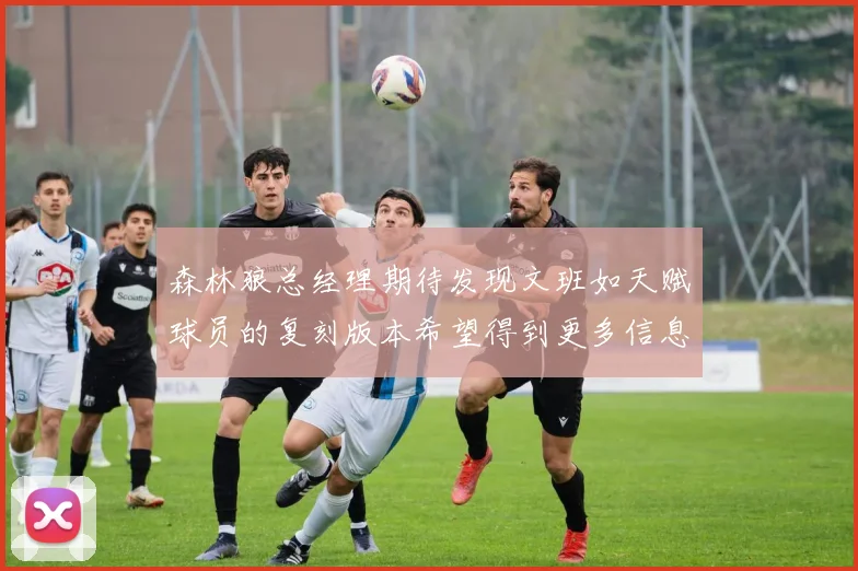 森林狼总经理期待发现文班如天赋球员的复刻版本希望得到更多信息